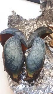 Scarletina bolete Reference photo